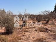 Terrain à vendre à issen