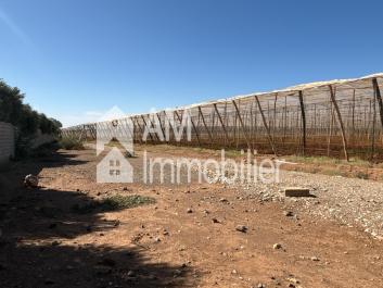 Ferme à vendre à sisi moussa lhamri