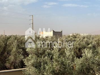 Terrain à vendre sidi moussa lhamri