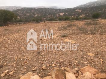Villa à vendre à drarga