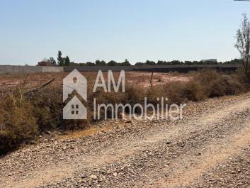 Terrain à vendre à sidi moussa lhamri