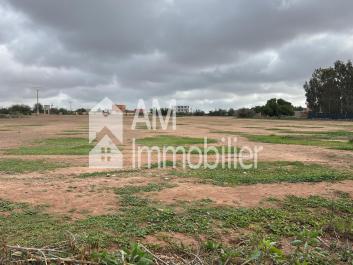 Terrain à vendre sidi moussa lhamri