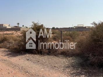 Terrain à vendre sidi moussa lhamri