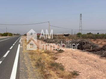 Terrain à vendre à sidi moussa lhamri