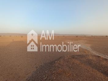 Terrain à vnedre à tata