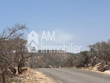 Terrain à vendre deouar azazoul taghazout