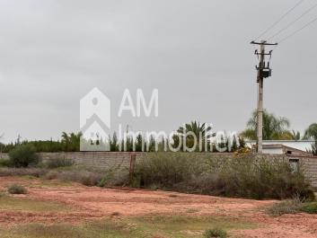 Terrain à vendre à sidi moussa lhamri