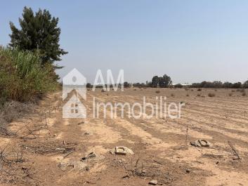 Terrain à vendre à sidi moussa lhamri
