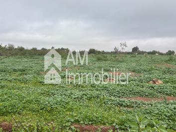 Terrain à vendre sidi moussa lhamri