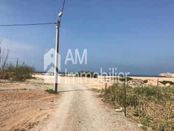 Terrain à vendre deouar assersif