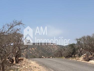 Terrain à vendre deouar azazoul taghazout