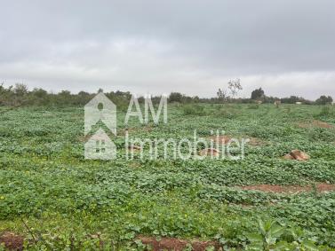Terrain à vendre Sidi moussa lhamri